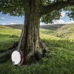 Top Grade Exquisite Professional Sapelli Notopleura Wood Alloy 6-string Banjo - Image 16