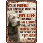 CIFbuy Sarcastic Retro Metal Sign Sometimes It's Too Late To Correct Rustic Wall Decor For Home Porch Garage Cafe Bar Garden (TikTok, temu pick-up service) - Image 18