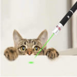 5 PCS Small Laser Pointer Pen 532nm Green Light Visible Beam 1mW For conference presentation(US Logistics only For USPS.TK/TMEU only For self-pickup) - Image 8