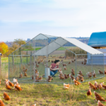 Replace 2952922 13 x 10 ft Large Metal Chicken Coop, Walk-in Poultry Cage Chicken Hen Run House with Waterproof Cover, Rabbits Cats Dogs Farm Pen for Outdoor Backyard Farm Garden - Image 8