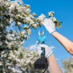 2-in-1 Electric Pruning Shear with Pole - 850W Brushless Motor, 200min Run Time, 4.5-6.3ft Extension for Perfect for Hedges, Trees, and Gardens - Image 8