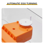 56H 56-Egg Incubator 110V 85W, Fully Automatic Turner, Upgraded LED Candler, Auto Temp & Humidity Control (Fahrenheit Display), ABS+PET Orange-White Body Clear Lid, Multi-Function Strip Egg Tray (US Plug) - Image 9