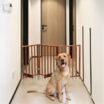 The Wooden Dog Fence Brown - Image 5