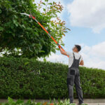 26ft Manual Pole Saw, Lightweight Tree Trimmers Long Handle Pruner Set, Sharp Steel Blade and Scissors Pole Saw for Trimming Palm, Pear Tree, Fir Tree, Other High Trees and Shrubs - Image 11