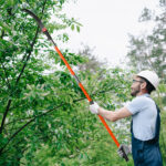 26ft Manual Pole Saw, Lightweight Tree Trimmers Long Handle Pruner Set, Sharp Steel Blade and Scissors Pole Saw for Trimming Palm, Pear Tree, Fir Tree, Other High Trees and Shrubs - Image 9