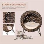 Catio - Image 11