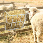 Large Capacity Hay Feeder, Heavy-Duty Steel Goat Hay Rack, 22.8" Long Wall Mounted Horse Hay Holder, Multiple Sided Feeding Rack for Sheep Farm Livestock Indoor Outdoor, Silver - Image 4