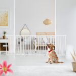 The Wooden Dog Fence White - Image 7